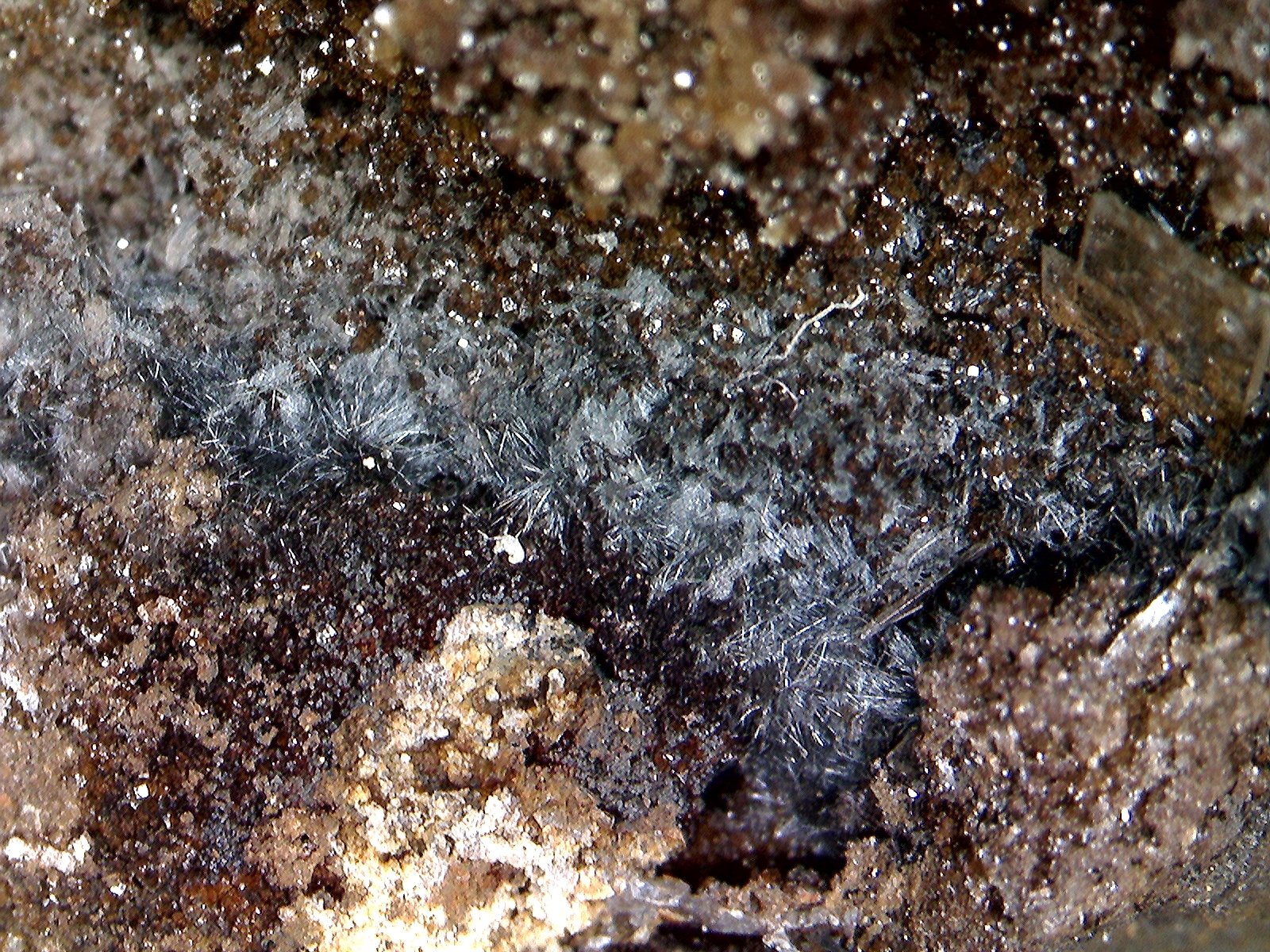 Pirolusita.
3´426 x 1´474 mm.
(Autor: Jesus Franquesa Baucells)