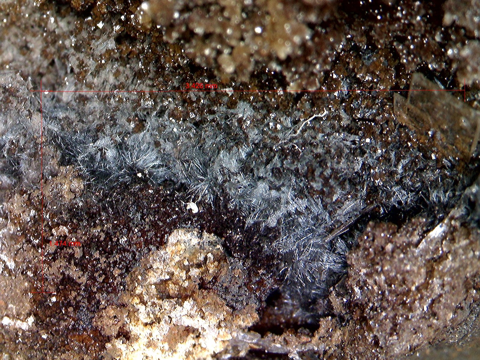 Pirolusita.
3´426 x 1´474 mm.
(Autor: Jesus Franquesa Baucells)