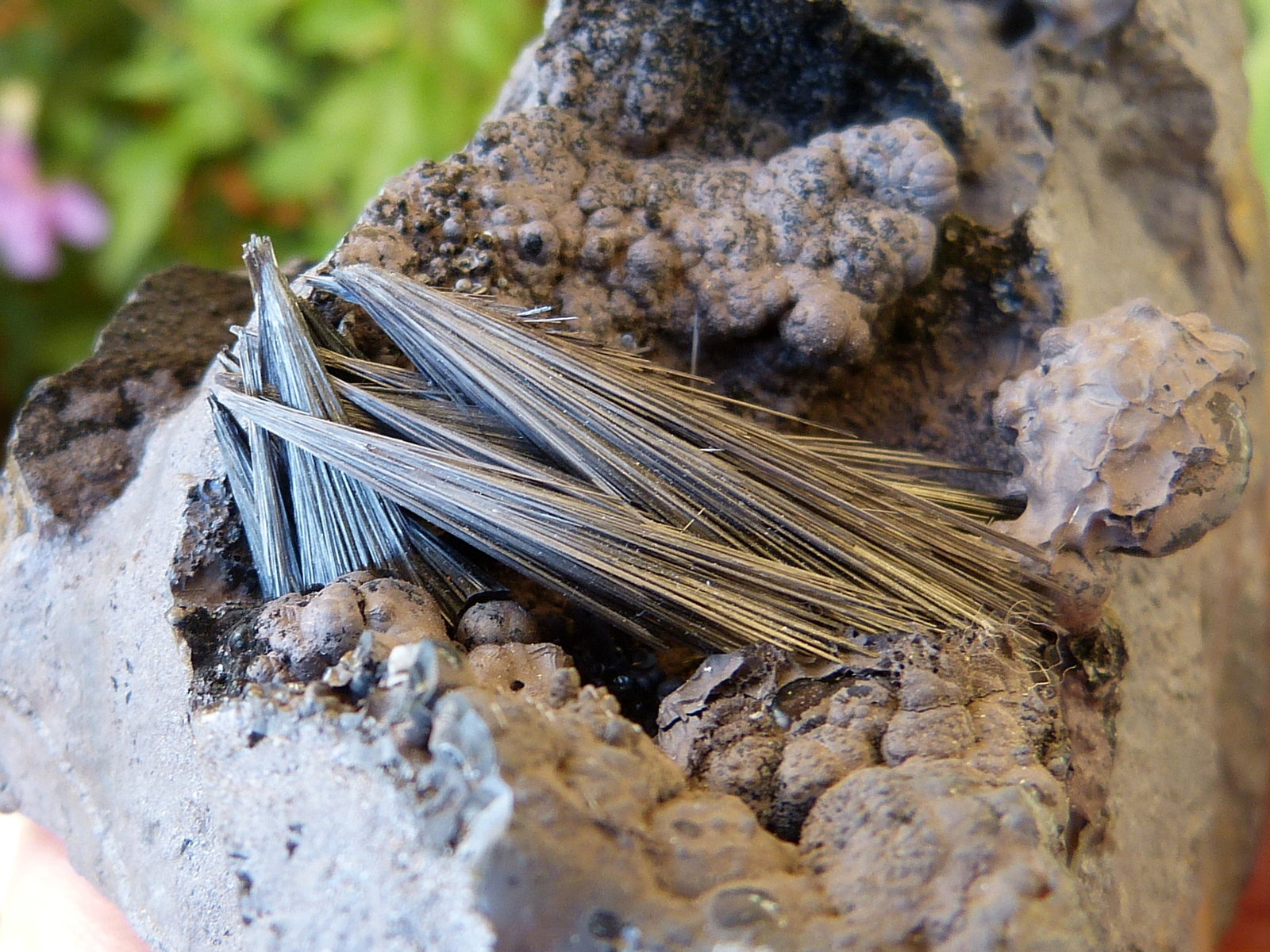 Pirolusita
12 x 6 cm (la pieza)
(Autor: nerofis2)