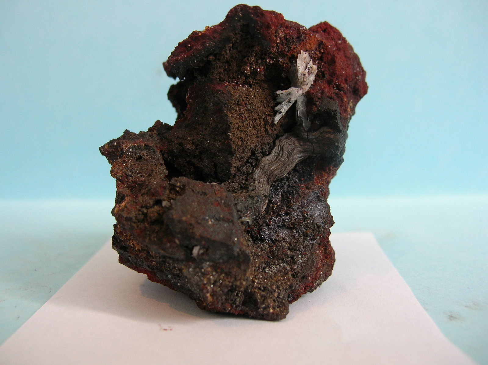 Pirolusita
4,5 x 5 cm
(Autor: Pedro Conesa)