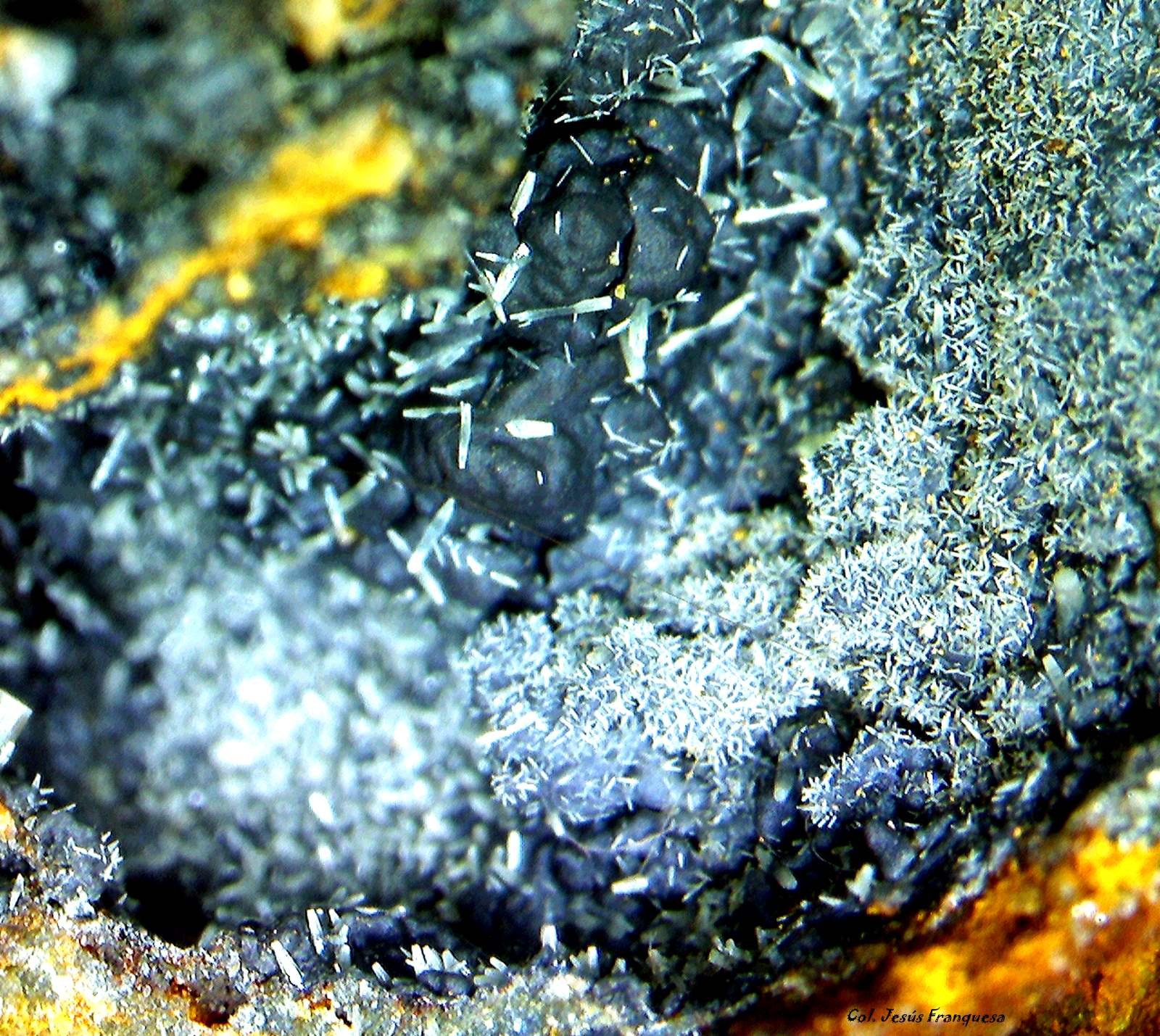 Piromorfita y Coronadita.
7´083 x 4´750 mm.
(Autor: Jesus Franquesa Baucells)