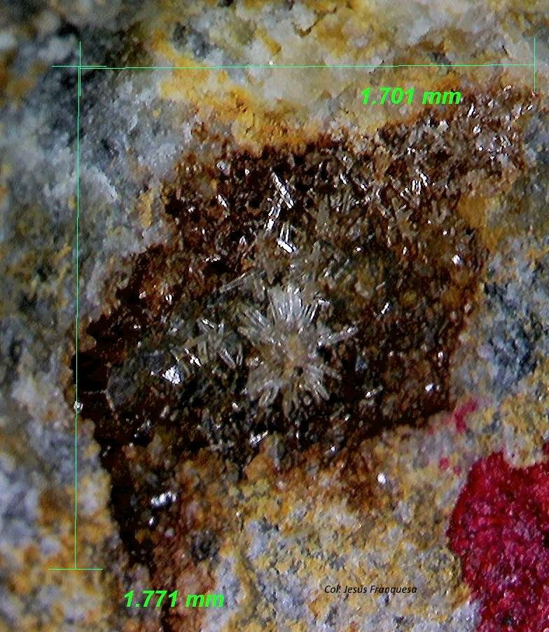 Piromorfita
1´771 x 1´701 mm.
(Autor: Jesus Franquesa Baucells)