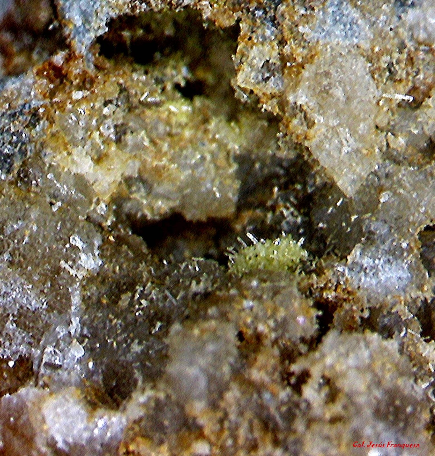 Piromorfita.
1´923 x 1´558 mm.
(Autor: Jesus Franquesa Baucells)