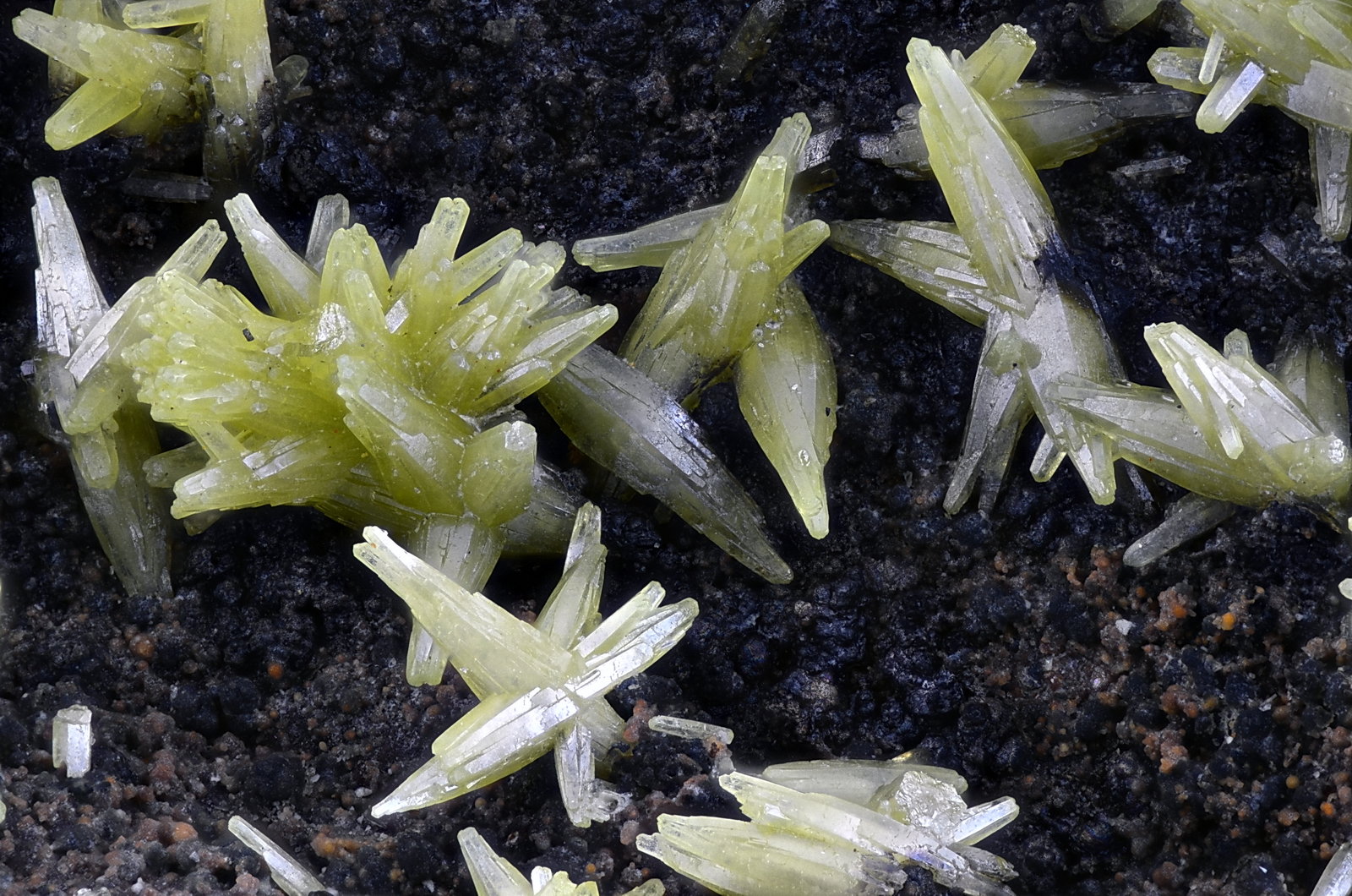 Piromorfita
Campo de visión 4 mm.
(Autor: Juan Miguel)