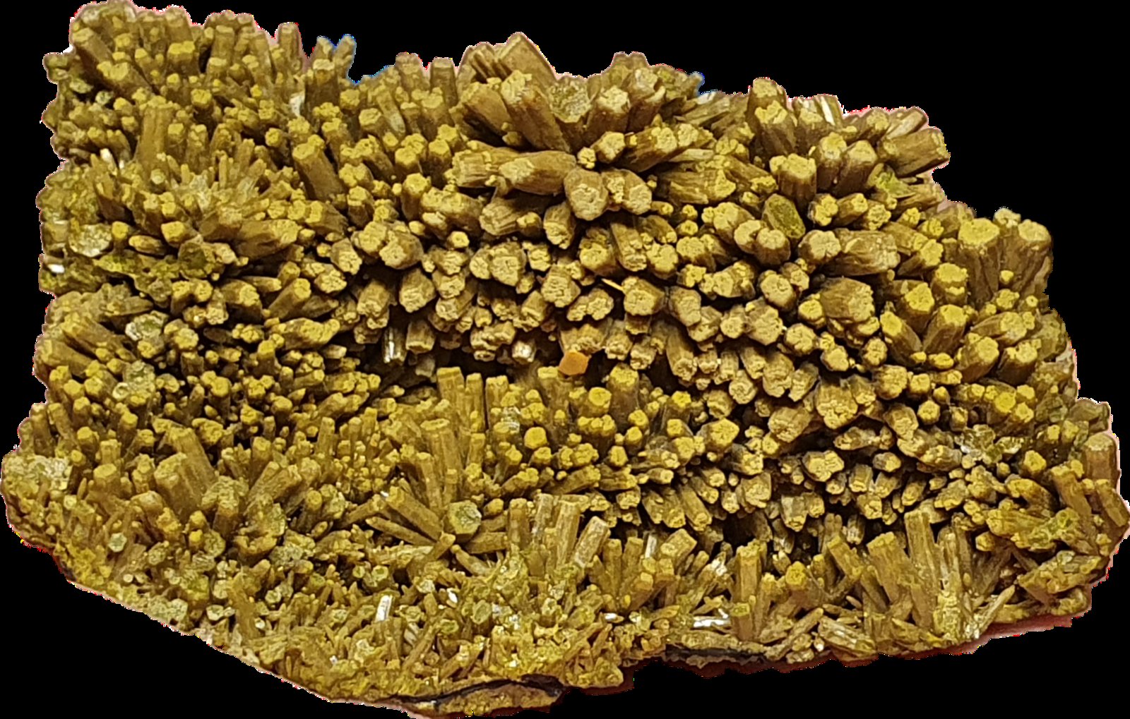 Piromorfita
6,5x3,8x1,2 cm
(Autor: prudenci gatell)