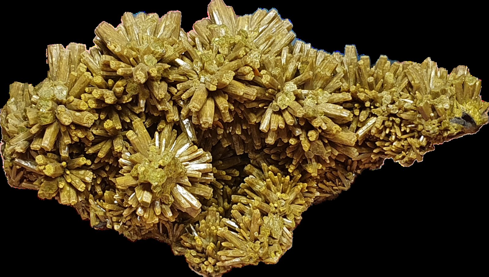 Piromorfita
6,5x3,8x1,2 cm
(Autor: prudenci gatell)