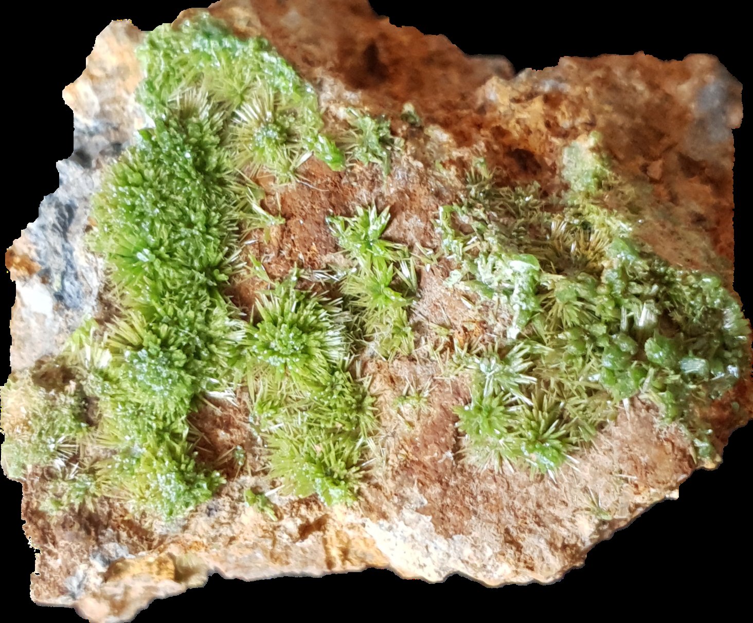 Piromorfita
7x5x3,5 cm
(Autor: prudenci gatell)