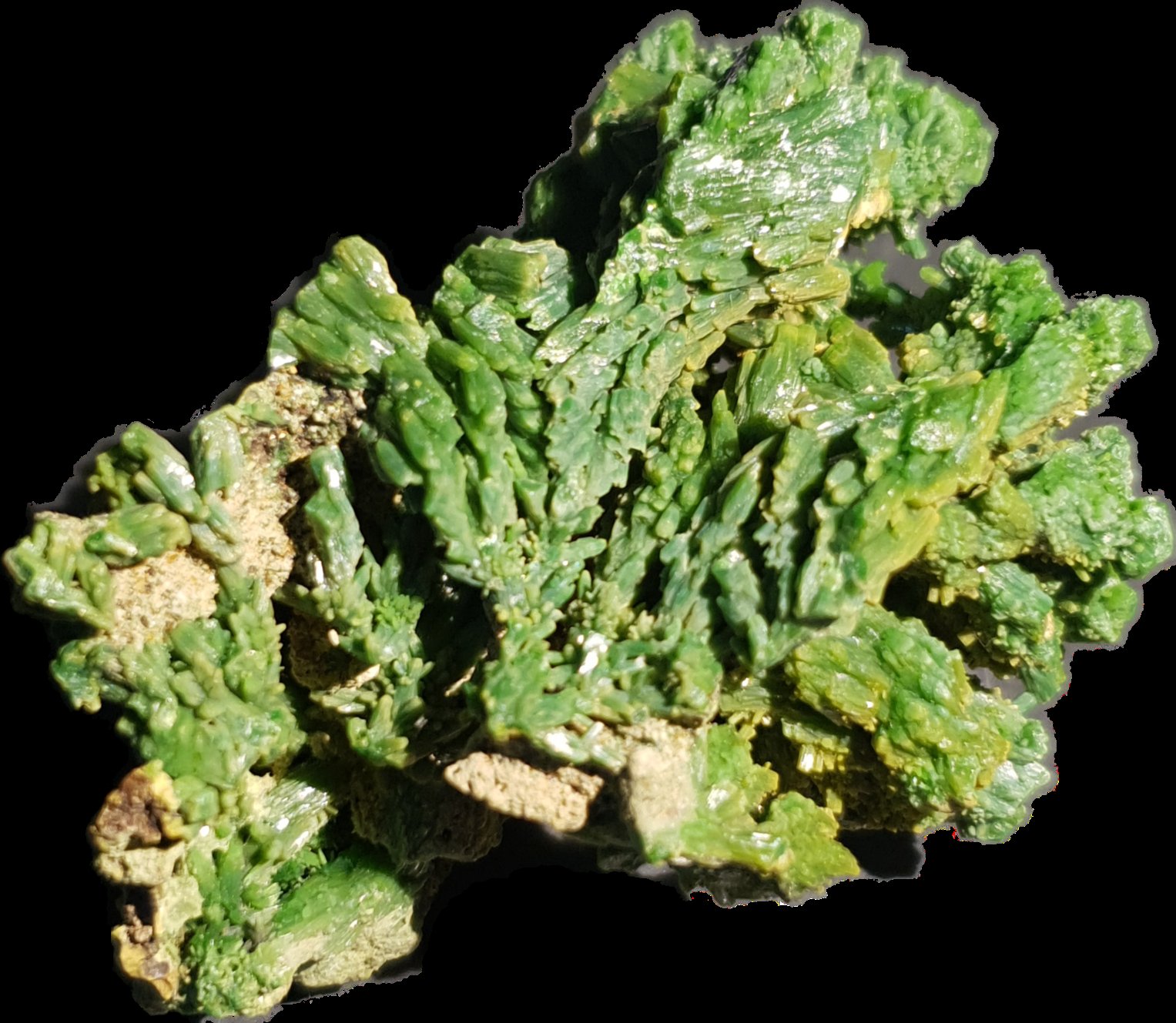 Piromorfita
5x3,5x3 cm
(Autor: prudenci gatell)