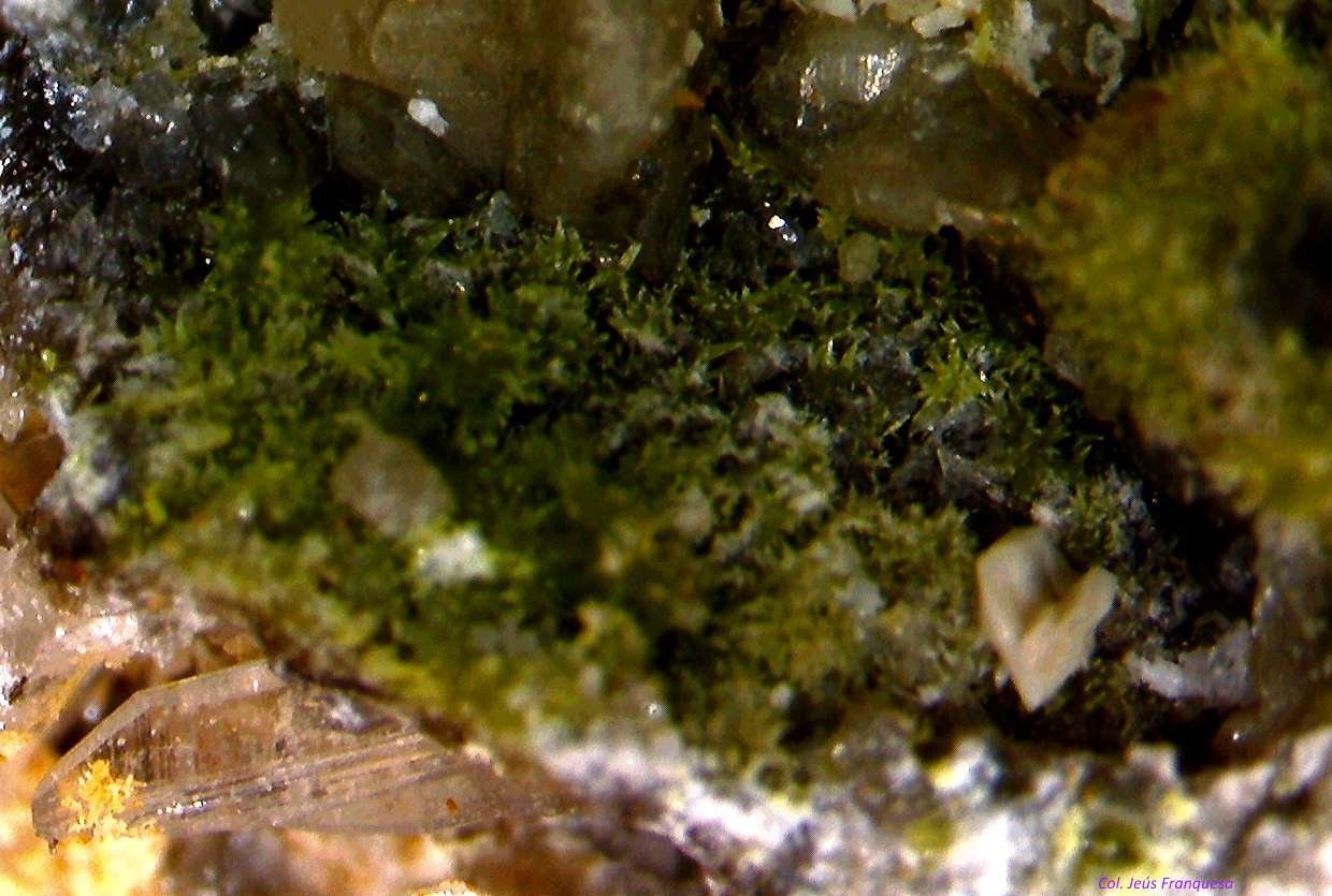 Piromorfita.
5´784 x 4´132 mm.
(Autor: Jesus Franquesa Baucells)