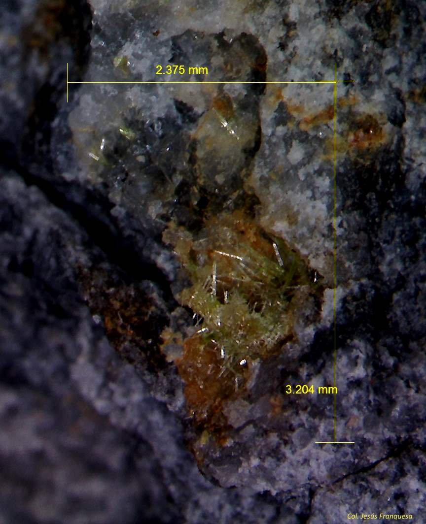 Piromorfita.
3´204 x 2´375 mm.
(Autor: Jesus Franquesa Baucells)