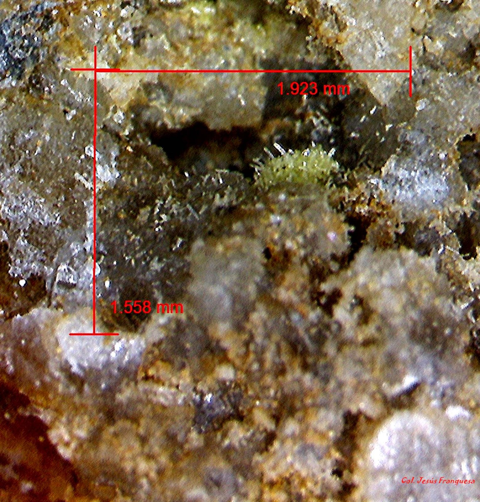 Piromorfita.
1´923 x 1´558 mm.
(Autor: Jesus Franquesa Baucells)