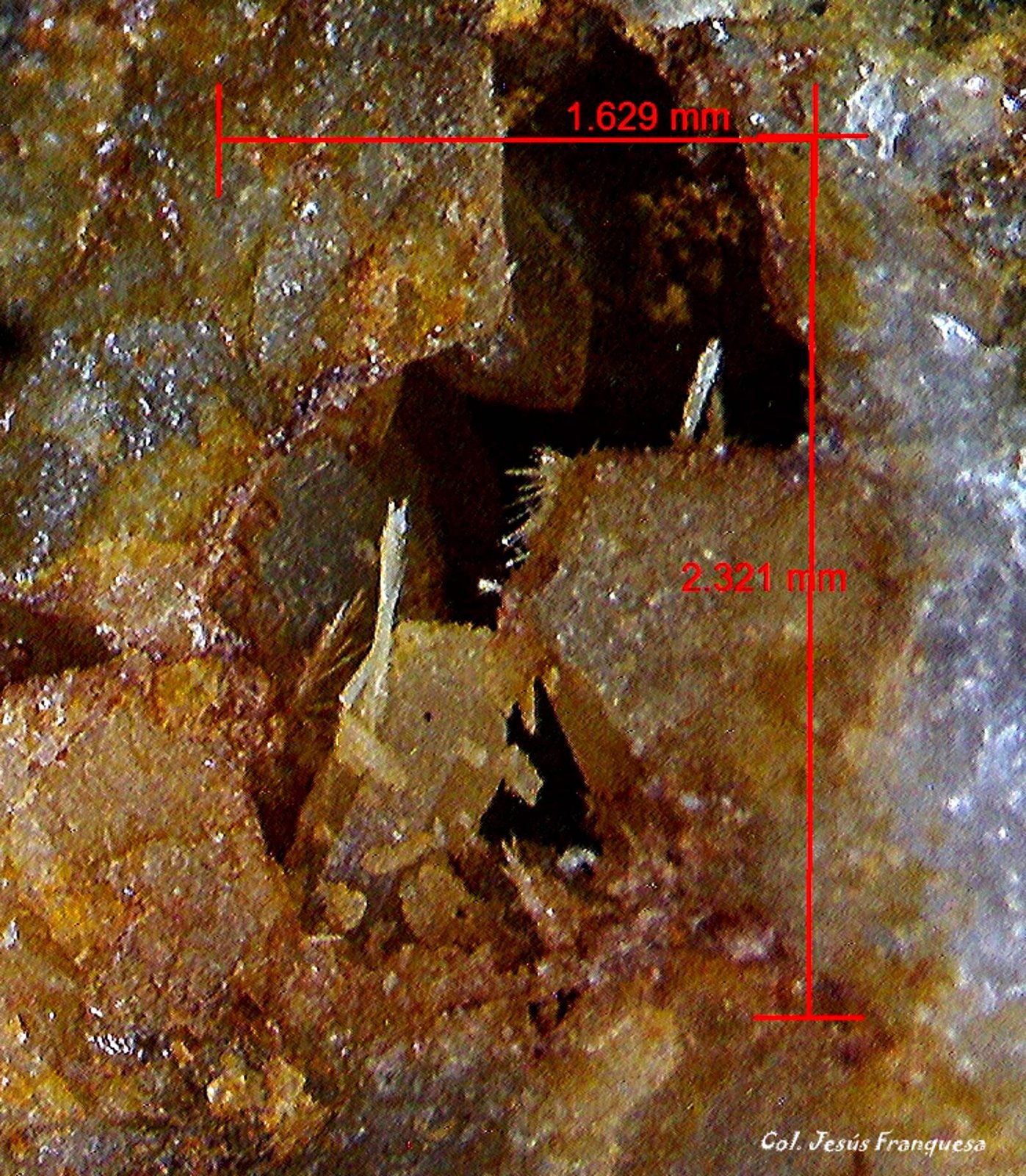 Piromorfita y Fluorita.
2´321 x 1´629 mm.
(Autor: Jesus Franquesa Baucells)