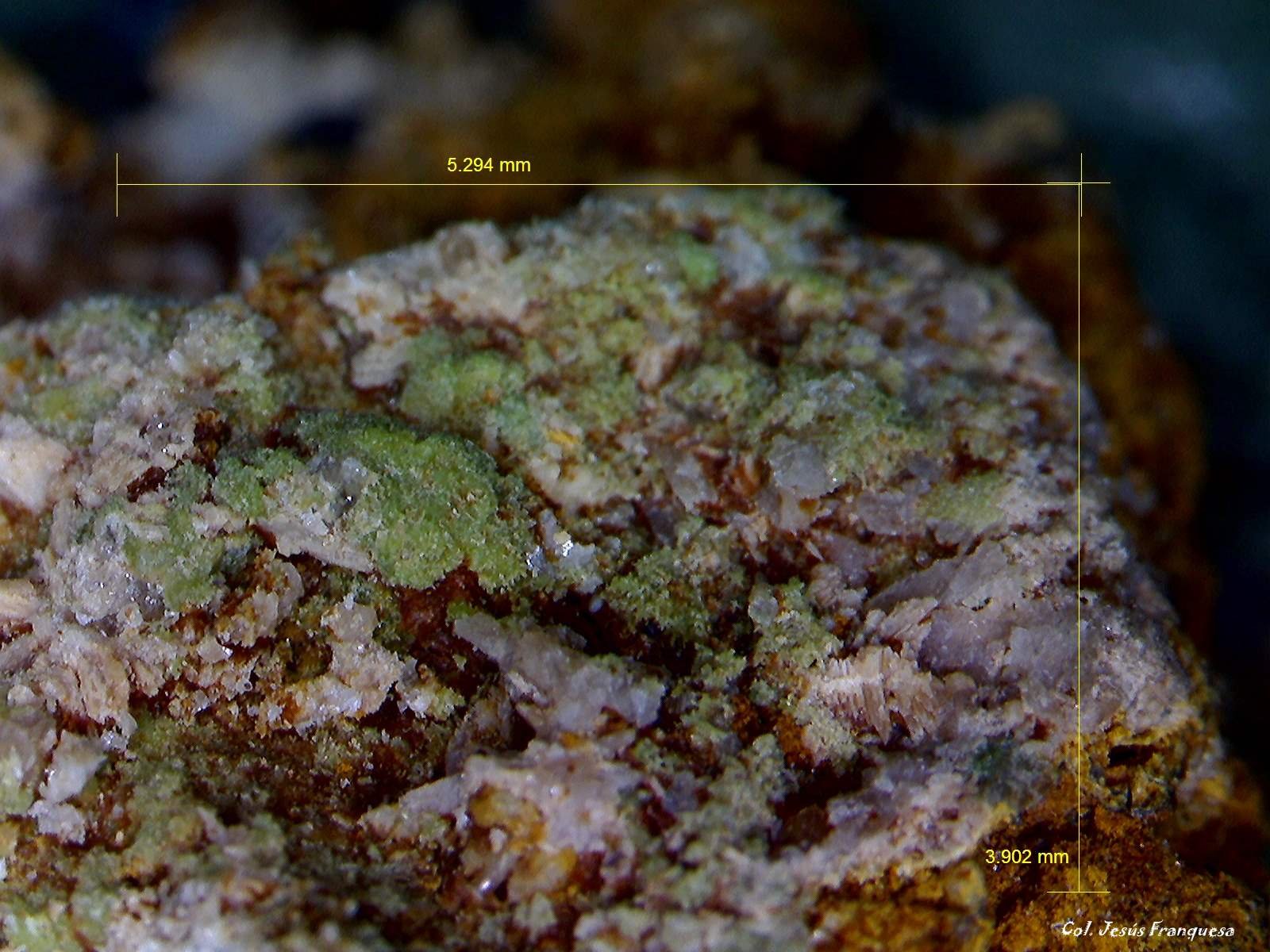 Piromorfita.
5´294 x 3´902 mm.
(Autor: Jesus Franquesa Baucells)
