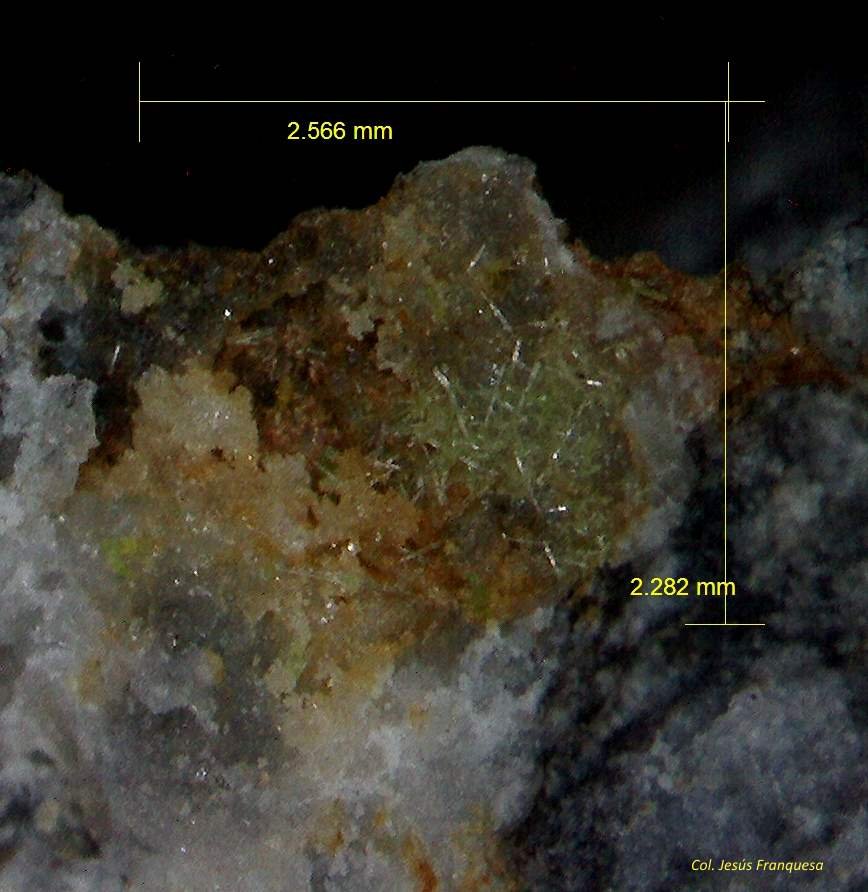 Piromorfita.
2´566x2´282 mm.
(Autor: Jesus Franquesa Baucells)