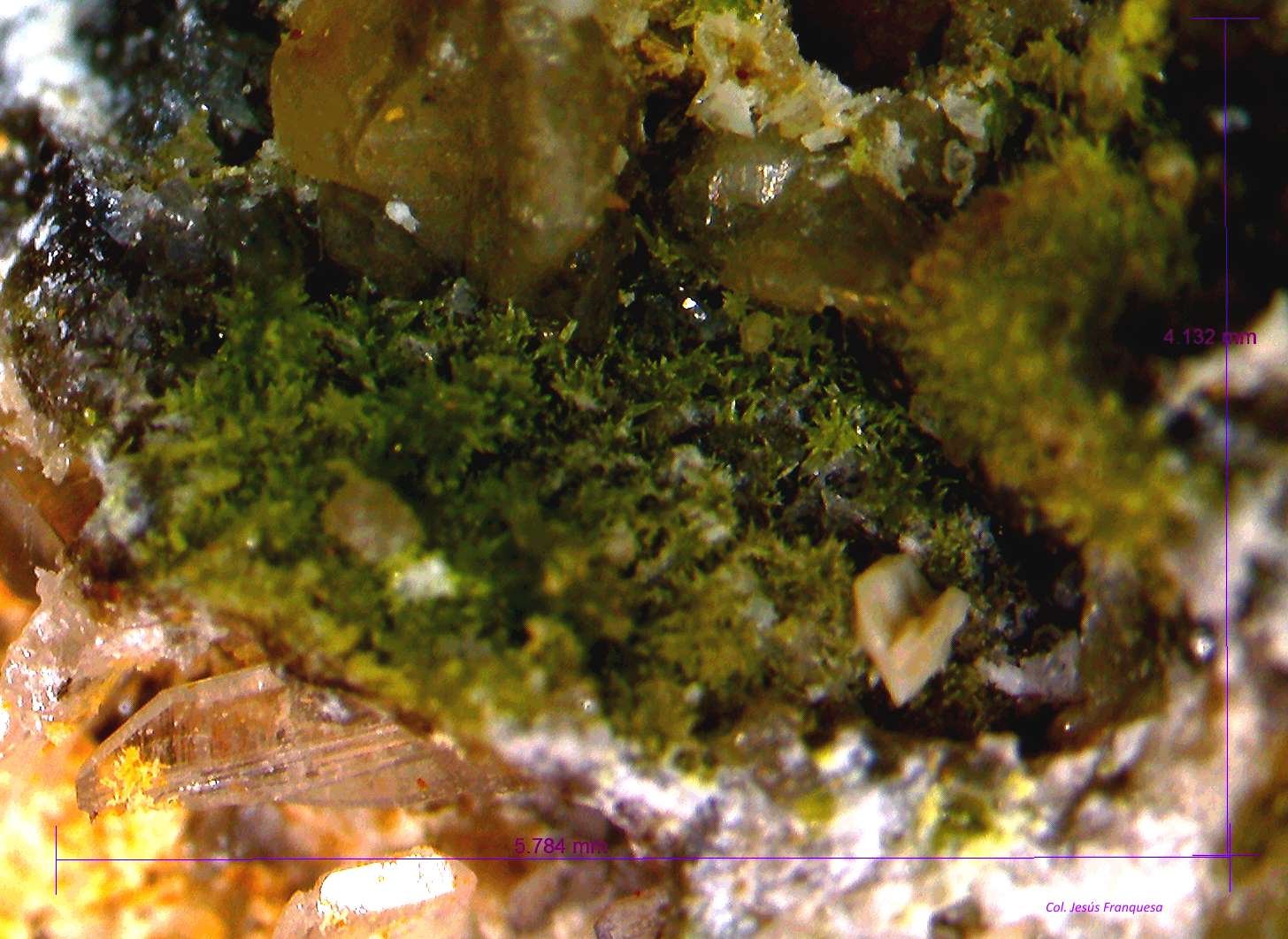 Piromorfita.
5´784 x 4´132 mm.
(Autor: Jesus Franquesa Baucells)