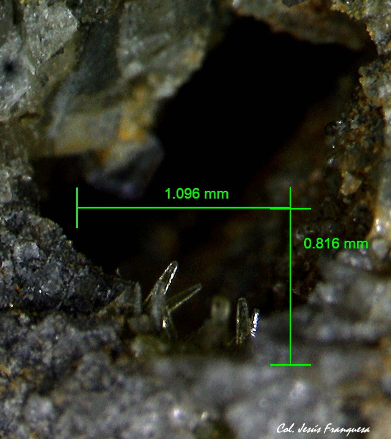 Piromorfita.
1´096 x 0´816 mm.
(Autor: Jesus Franquesa Baucells)