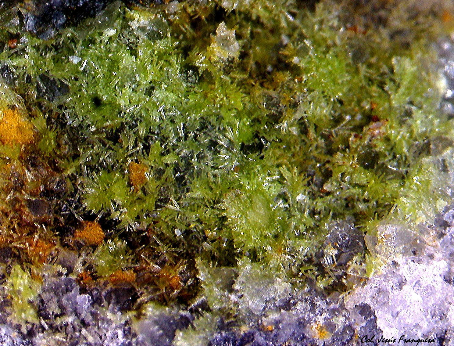 Piromorfita.
3´696 x 2´608 mm.
(Autor: Jesus Franquesa Baucells)