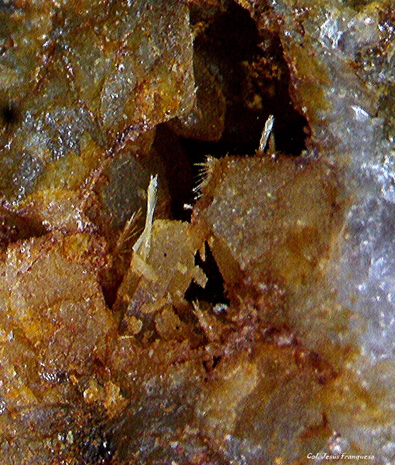 Piromorfita y Fluorita.
2´321 x 1´629 mm.
(Autor: Jesus Franquesa Baucells)