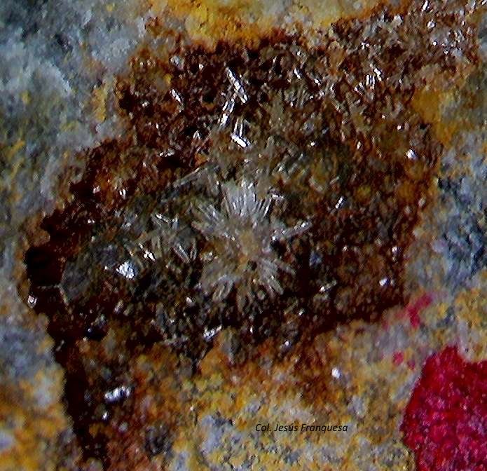 Piromorfita
1´771 x 1´701 mm.
(Autor: Jesus Franquesa Baucells)