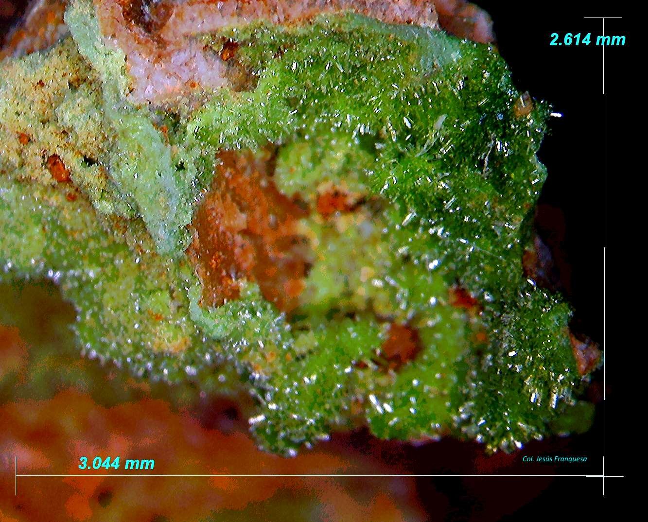 Piromorfita.
3´044 x 2´614 mm.
(Autor: Jesus Franquesa Baucells)