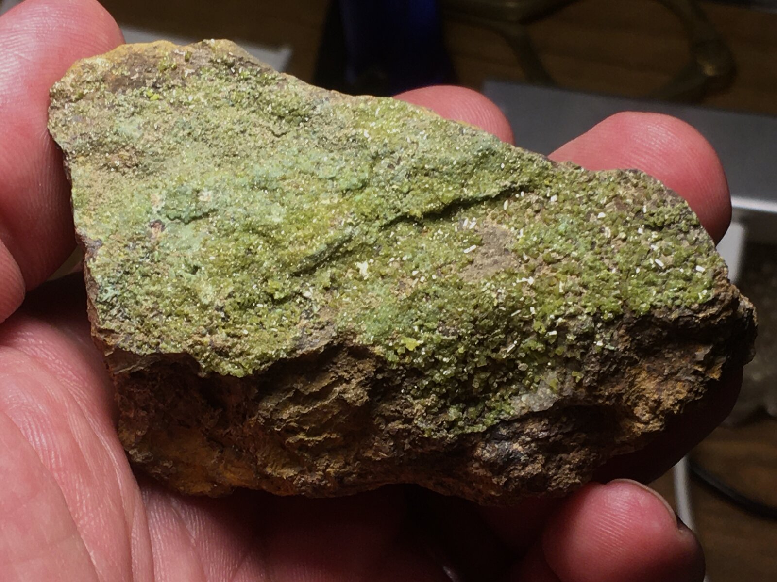 Piromorfita
Cuesta de Gos, Águilas, Comarca Alto Guadalentín, Región de Murcia (Murcia), España
8 x 5.5
(Autor: Matias Raja)
