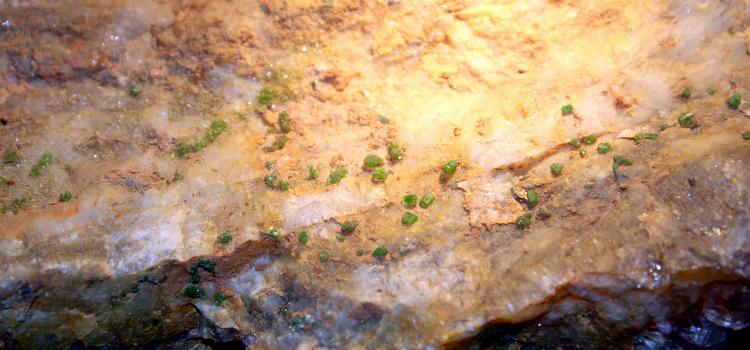Piromorfita
15 cm.
(Autor: canada)