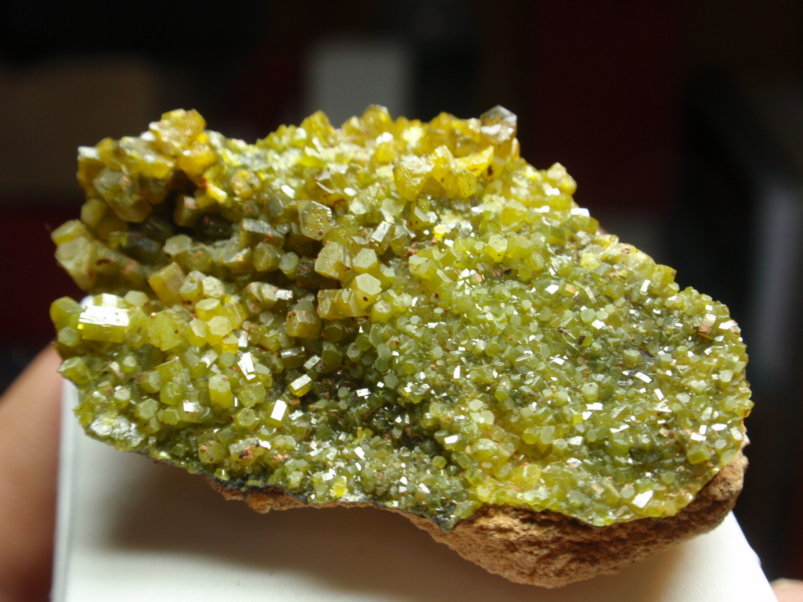Piromorfita
35x15 mm
(Autor: Ignacio)