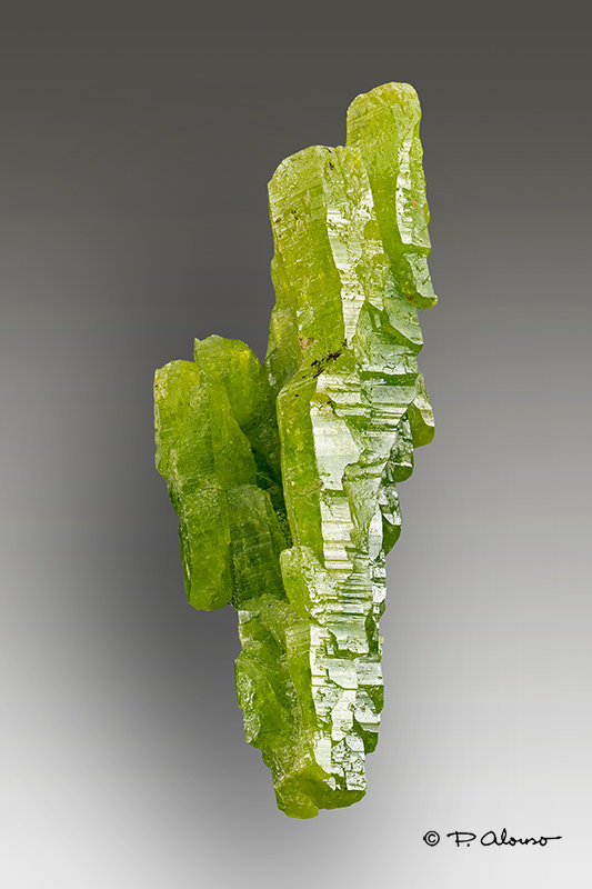 Piromorfita
3,1cm x 1,3cm x1,3cm
(Autor: Pere Alonso)