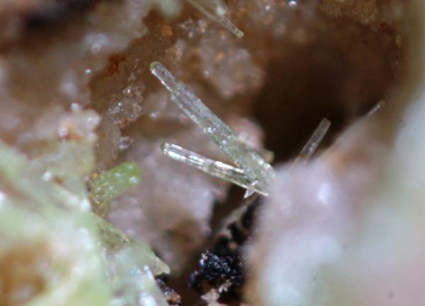 Piromorfita
3 mm.
(Autor: usoz)