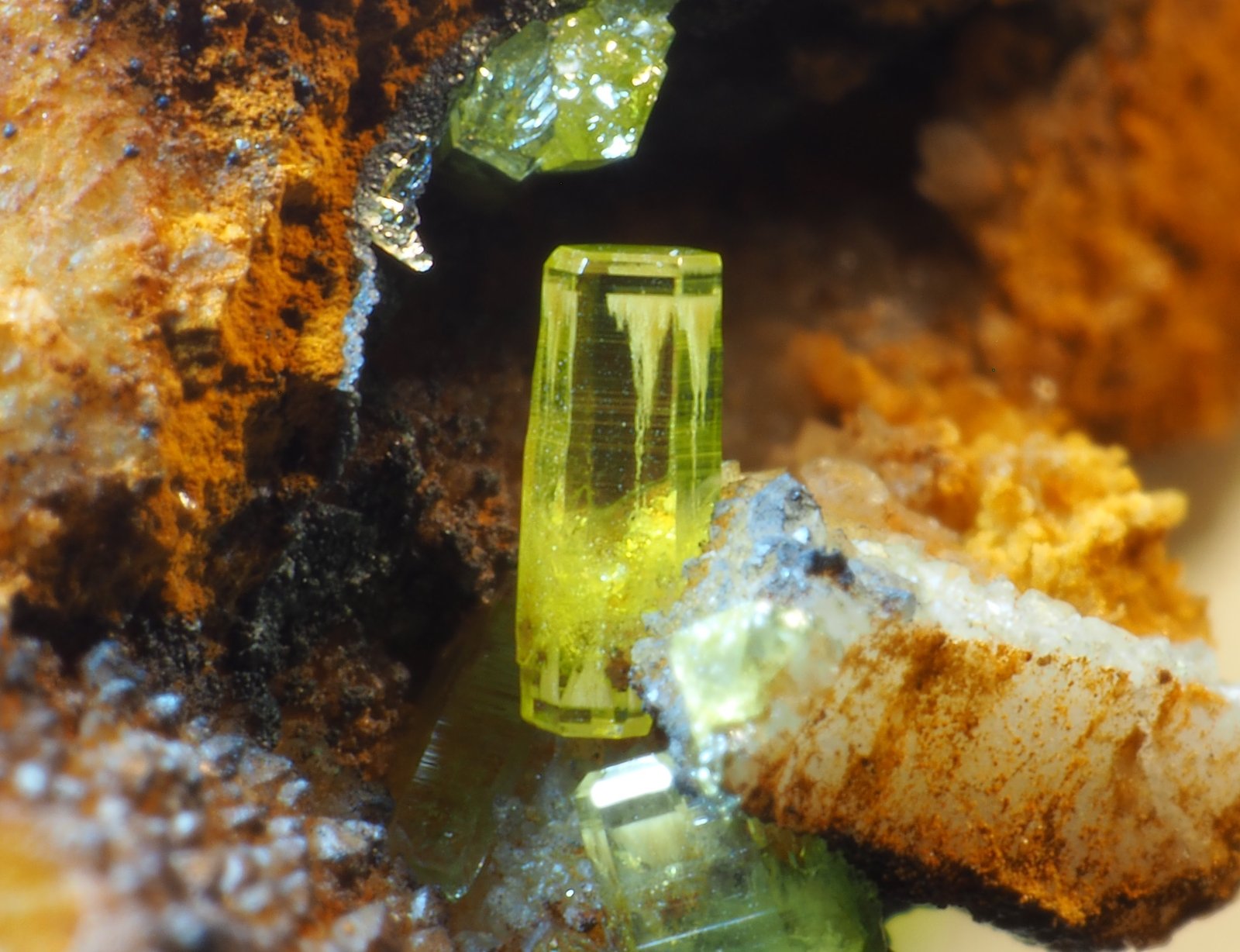 Piromorfita
2 mm
(Autor: Félix Marcos)