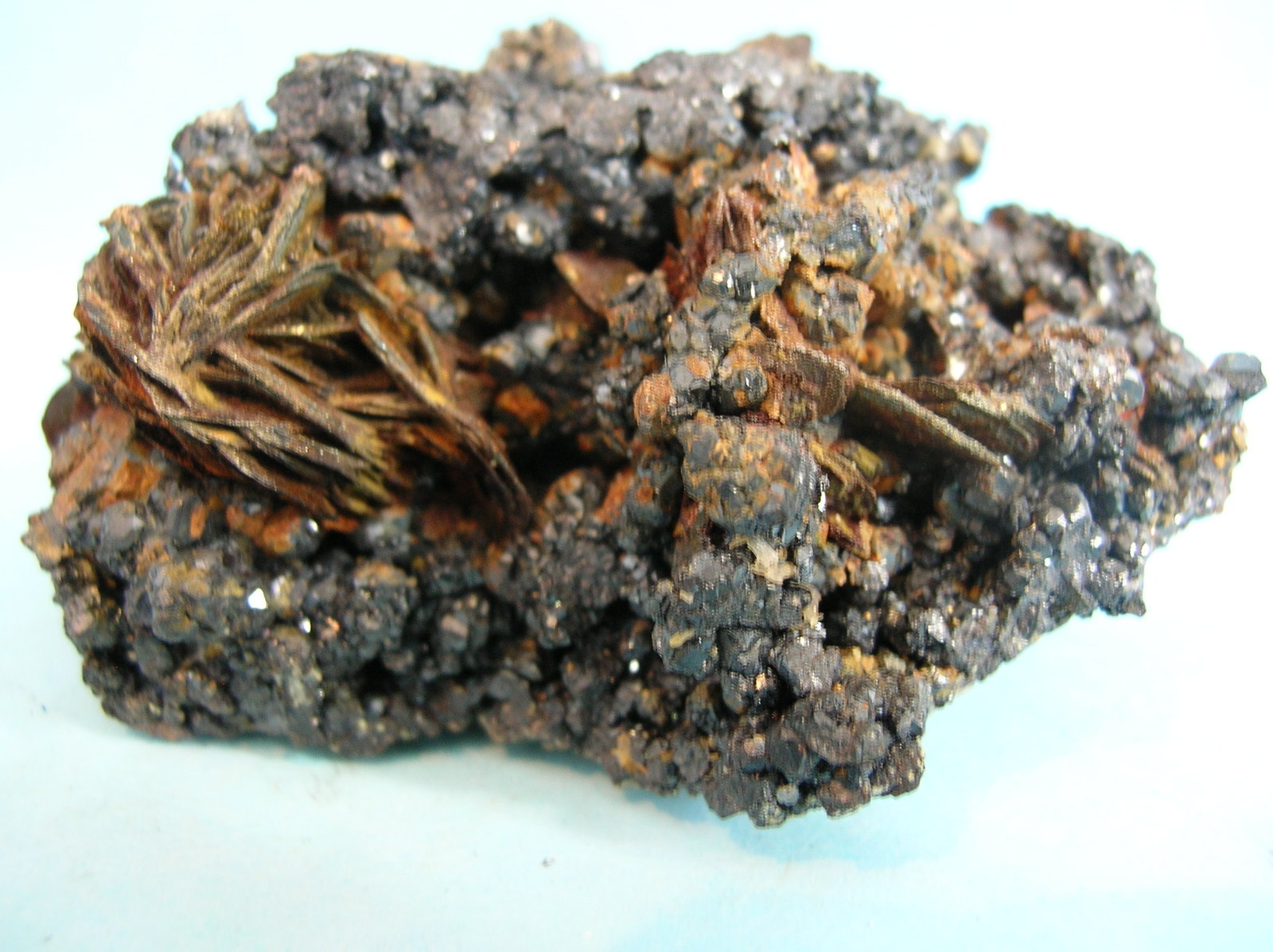 Pirrotina
7 x 4,5 cm
(Autor: Pedro Conesa)