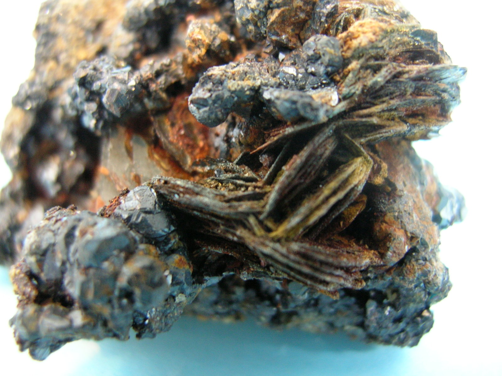 Pirrotina
7 x 4,5 cm
(Autor: Pedro Conesa)
