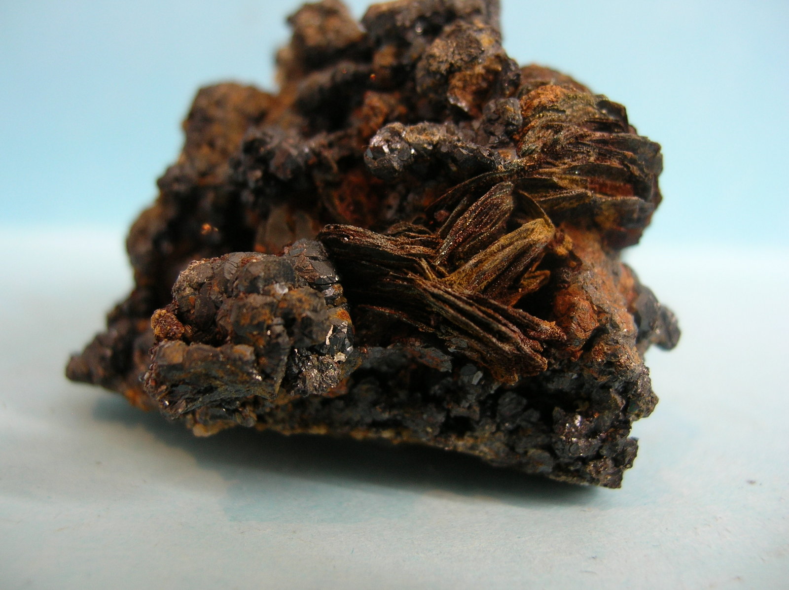 Pirrotina
7 x 4,5 cm
(Autor: Pedro Conesa)