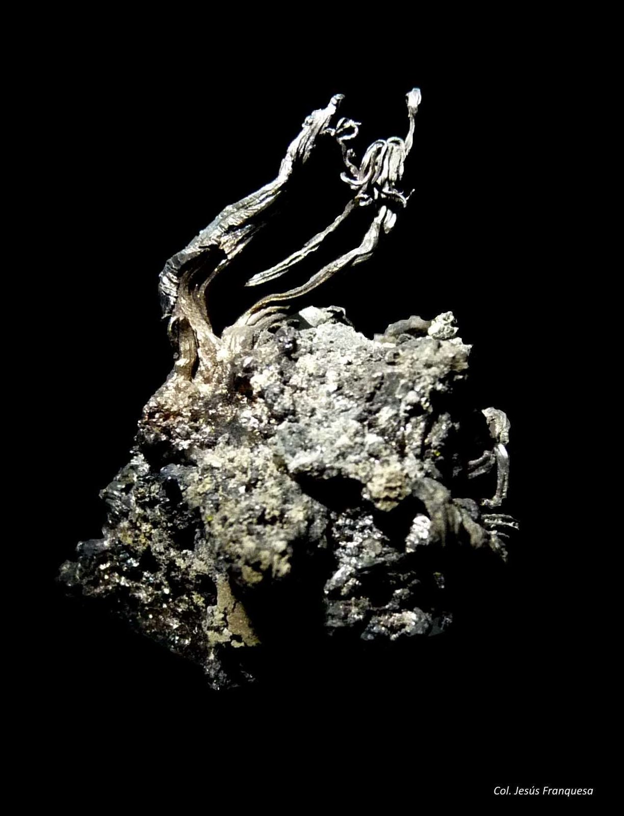 Plata.
33x32 mm.
(Autor: Jesus Franquesa Baucells)