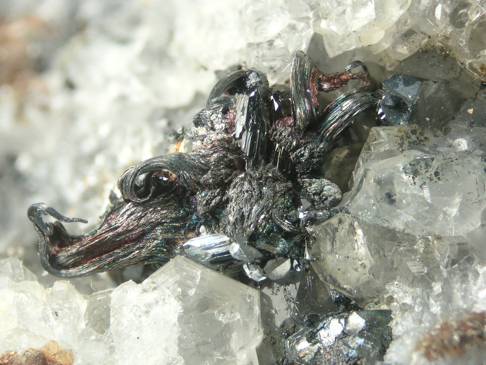 Plata
FOV 1 cm
(Autor: Cesar M. Salvan)