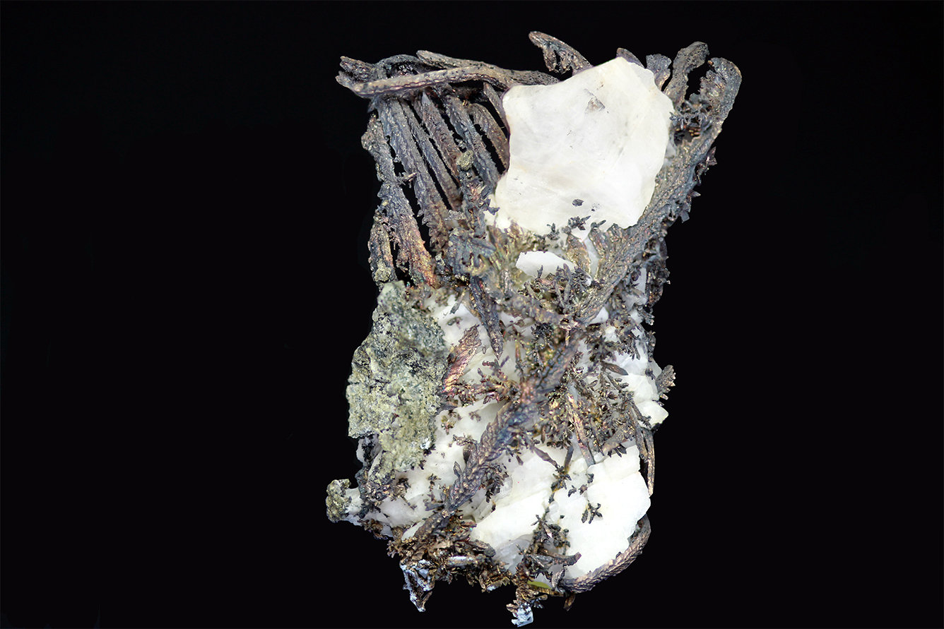Plata
20x40mm
(Autor: Ramon A  Lopez Garcia)