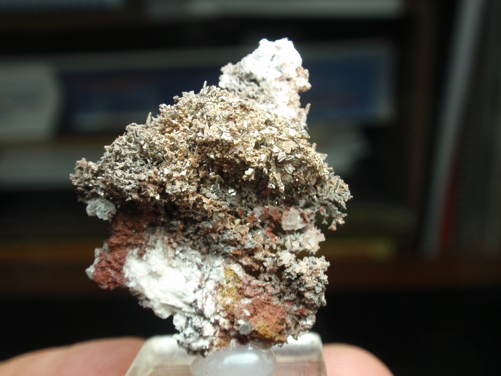 Plata nativa
25x30 mm
(Autor: Ignacio)