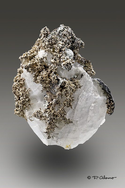Plata
2cm x 2,5cm x 1,5cm
(Autor: Pere Alonso)