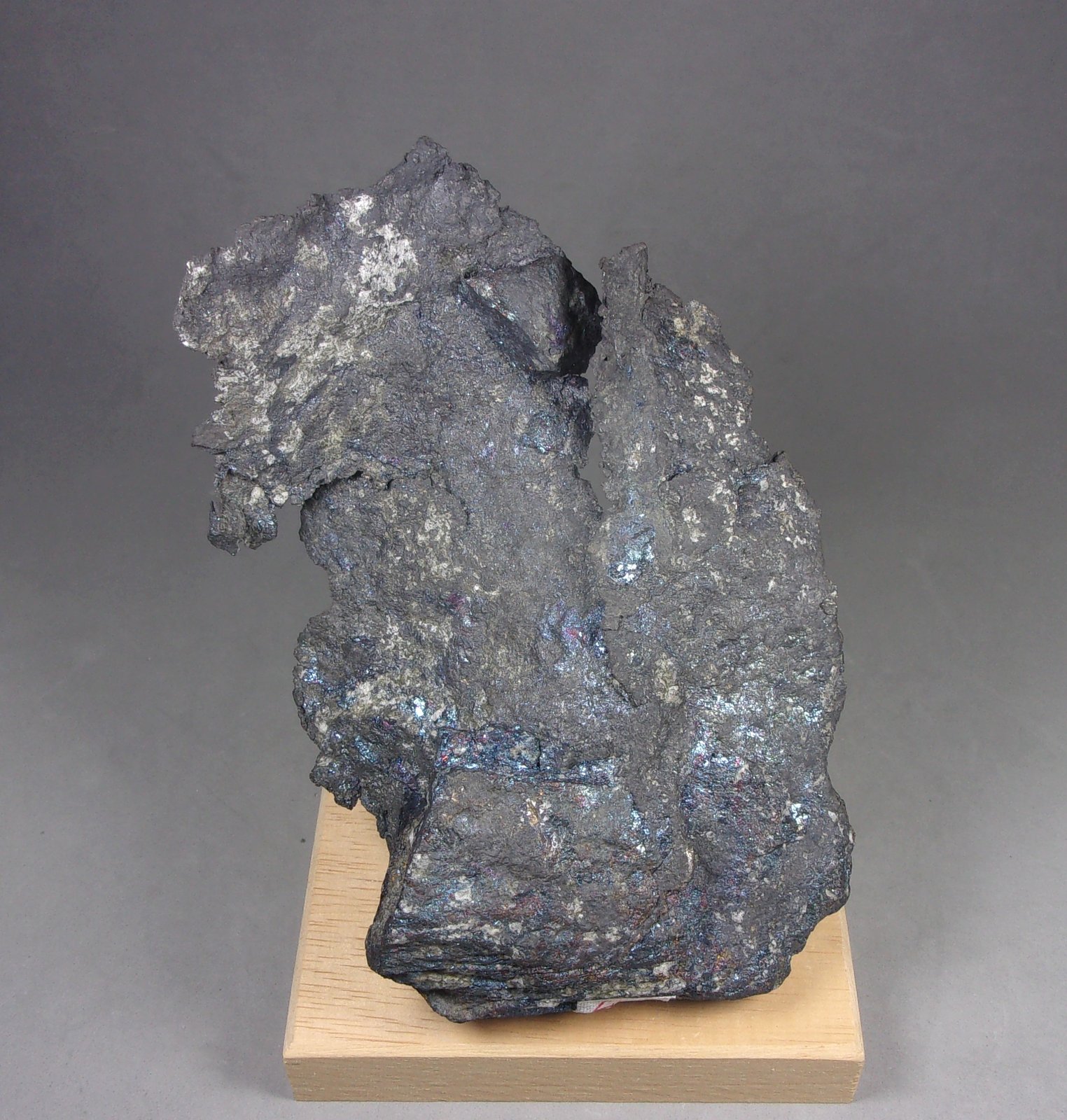 Plata y Bornita
12,7 x 8 x 3,6 cm.  254,3 g.
(Autor: J. G. Alcolea)