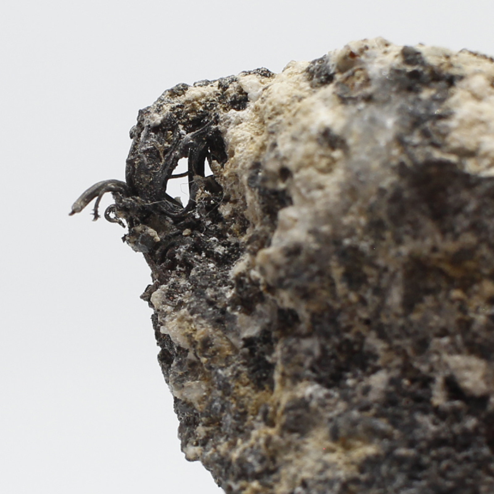 Plata
6x3x1 cm
(Autor: Luis Edmundo Sánchez Roja)