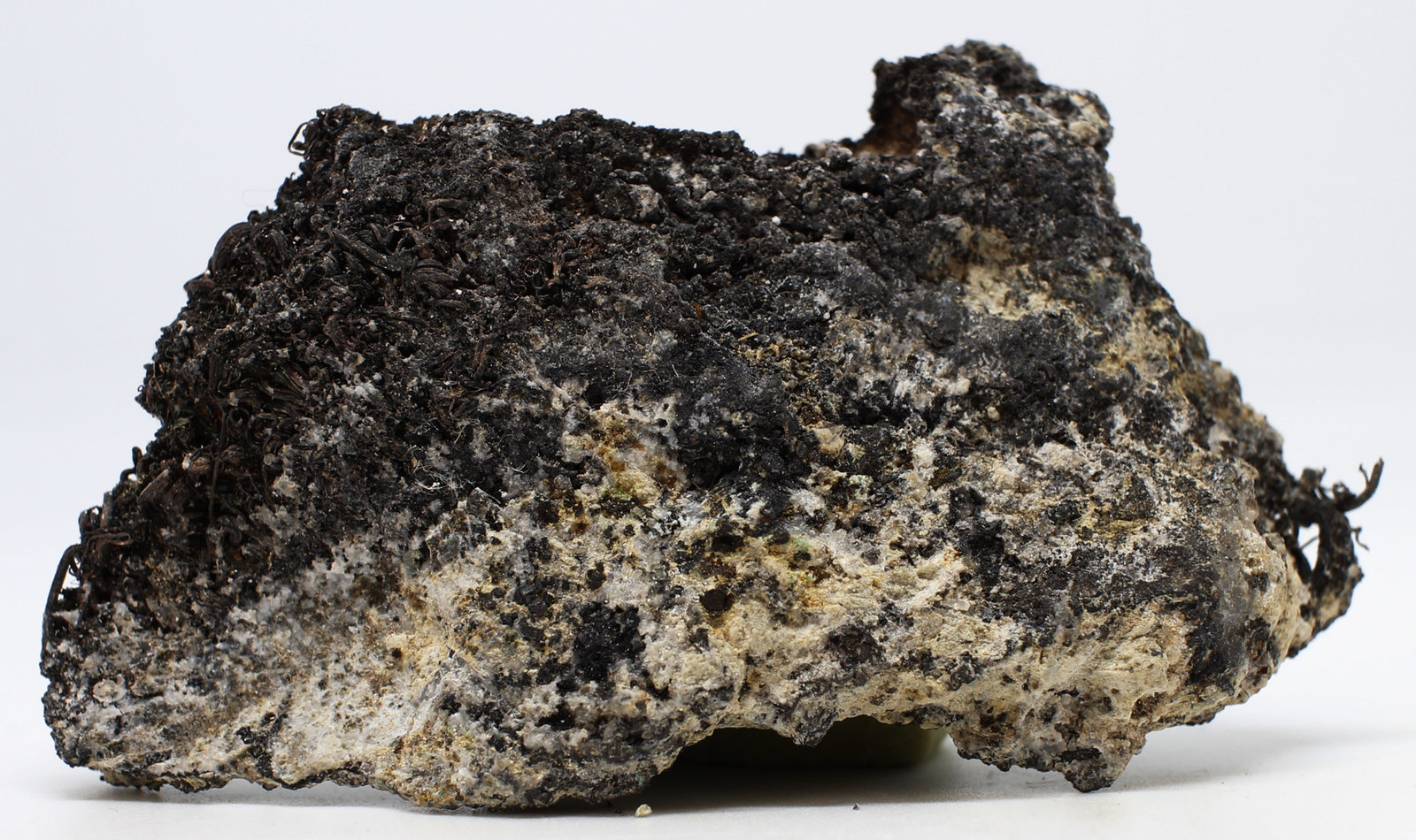 Plata, Argentita
6x3x1 cm
(Autor: Luis Edmundo Sánchez Roja)