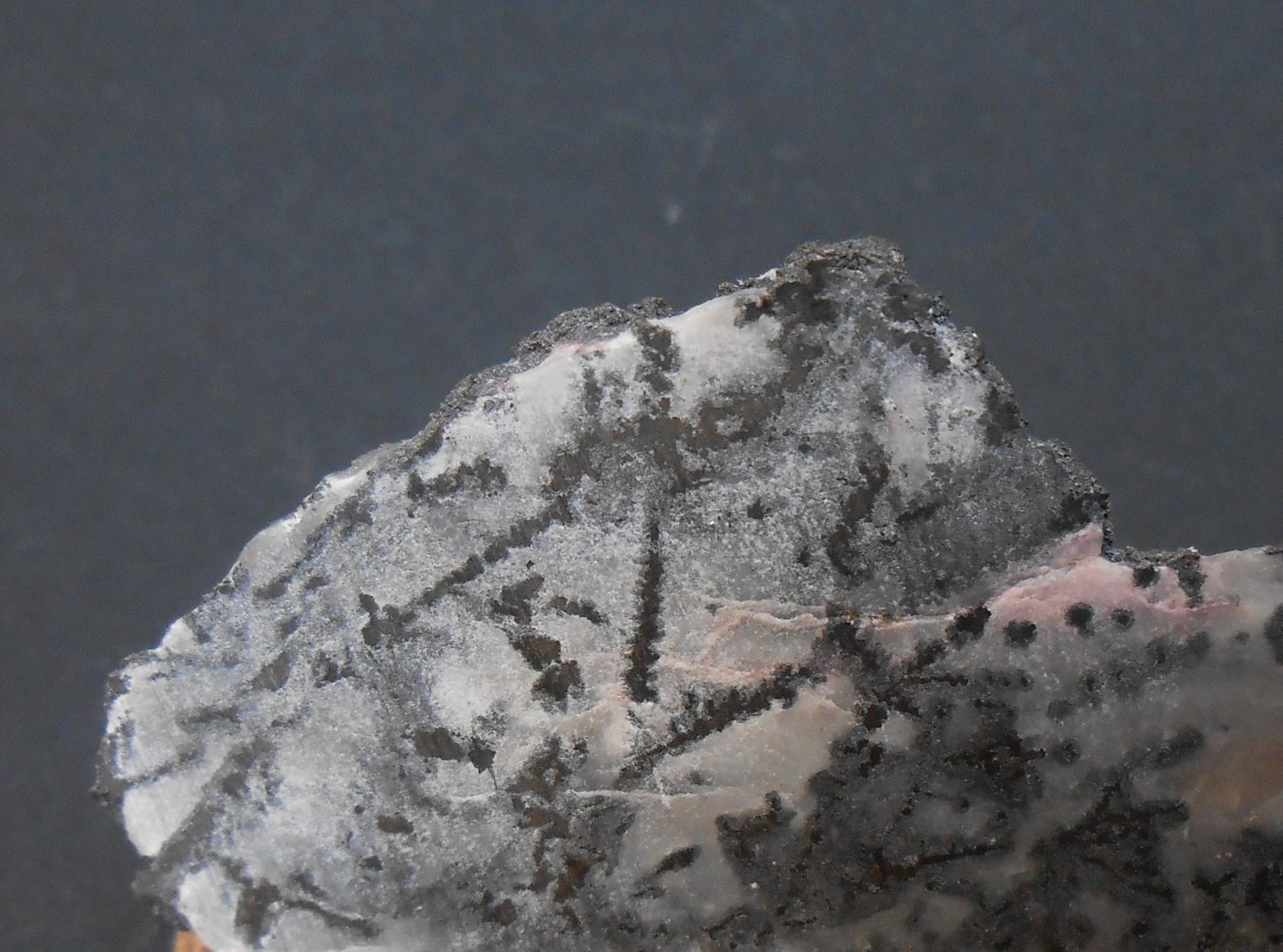 Plata
9,5 x 4,5 x 1 cm
(Autor: Antonio Alcaide)