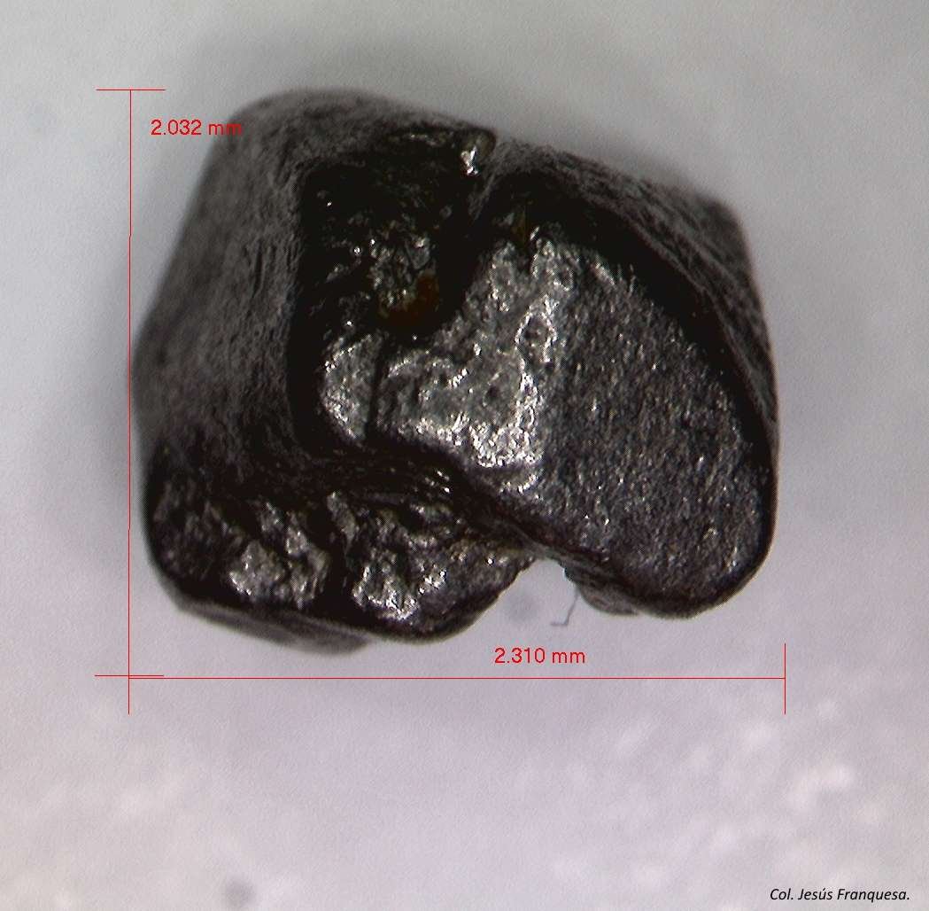 Platino
2´310 x 2´032 mm.
(Autor: Jesus Franquesa Baucells)