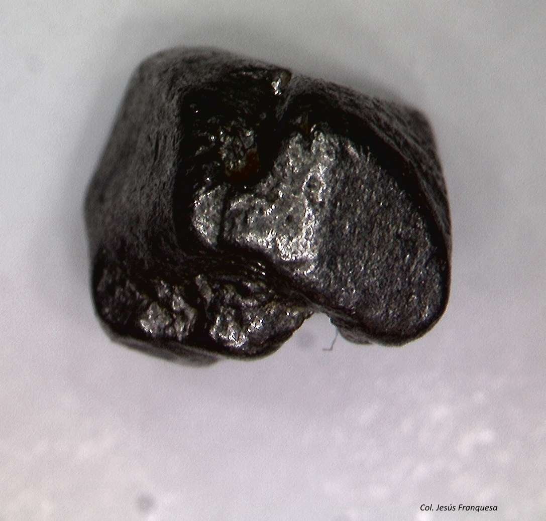Platino.
2´310 x 2´032 mm.
(Autor: Jesus Franquesa Baucells)