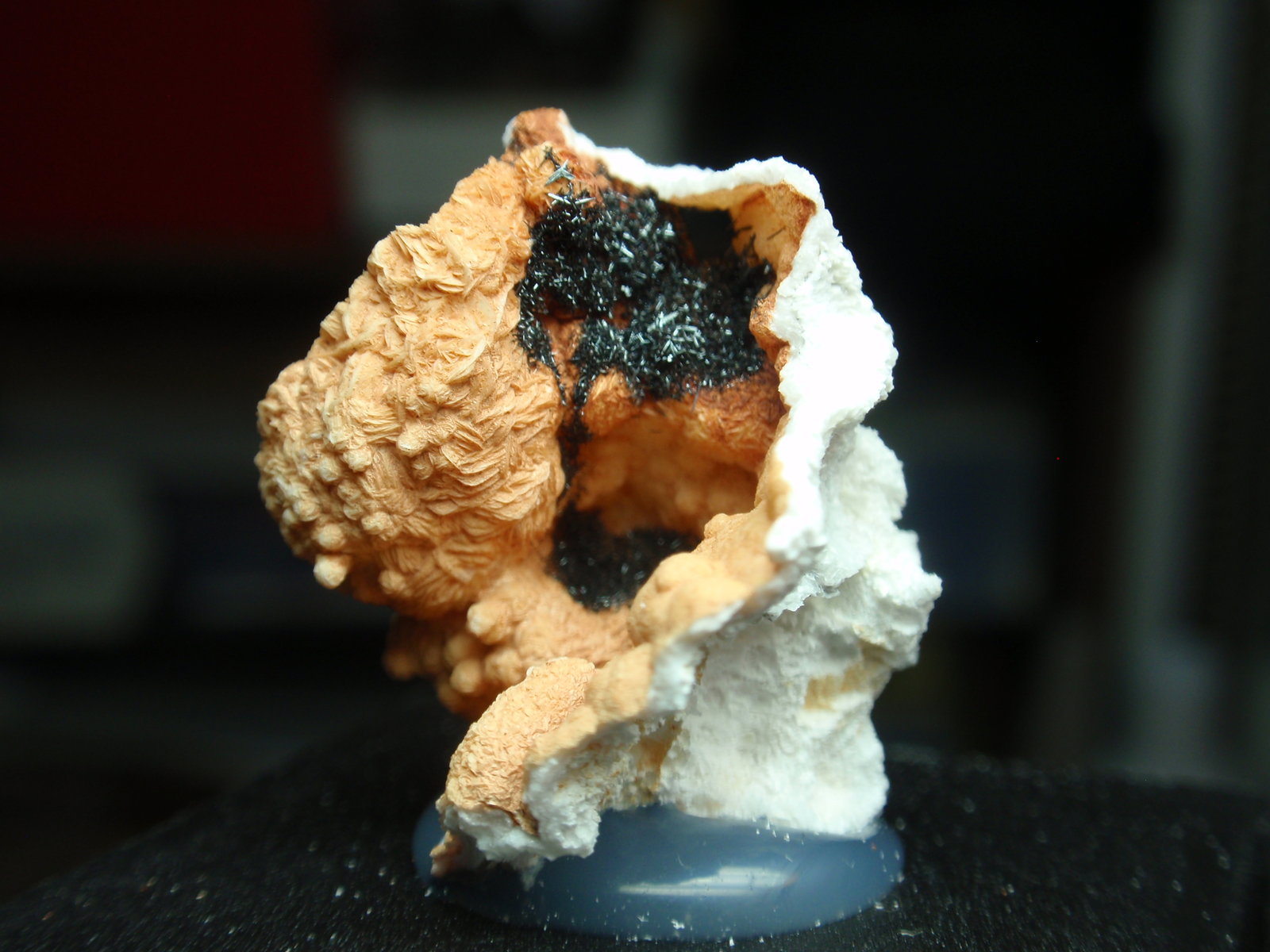 Plattnerita
20x20 mm
(Autor: Ignacio)