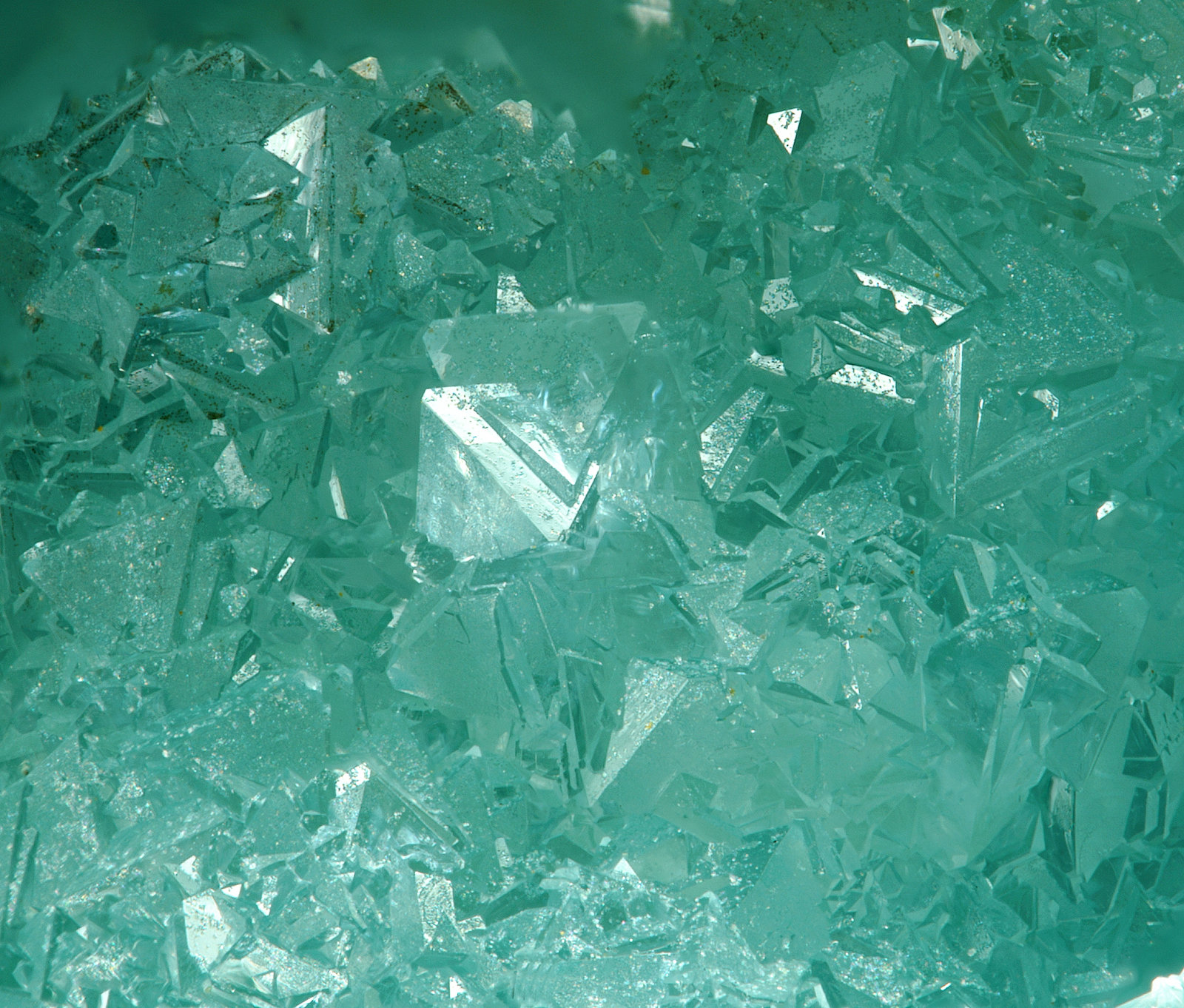 Plumbogummita
fov 1.7 mm
(Autor: Antonio P. López)