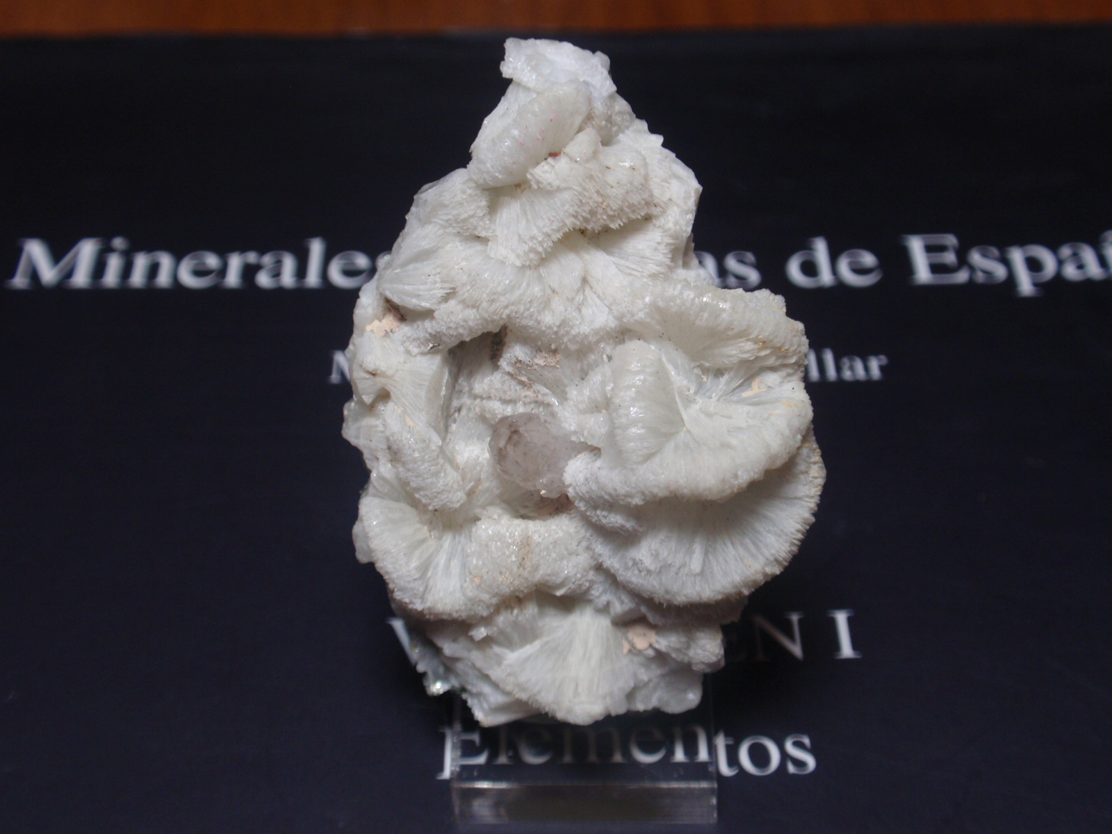 Prehnita
30x50 mm
(Autor: Ignacio)