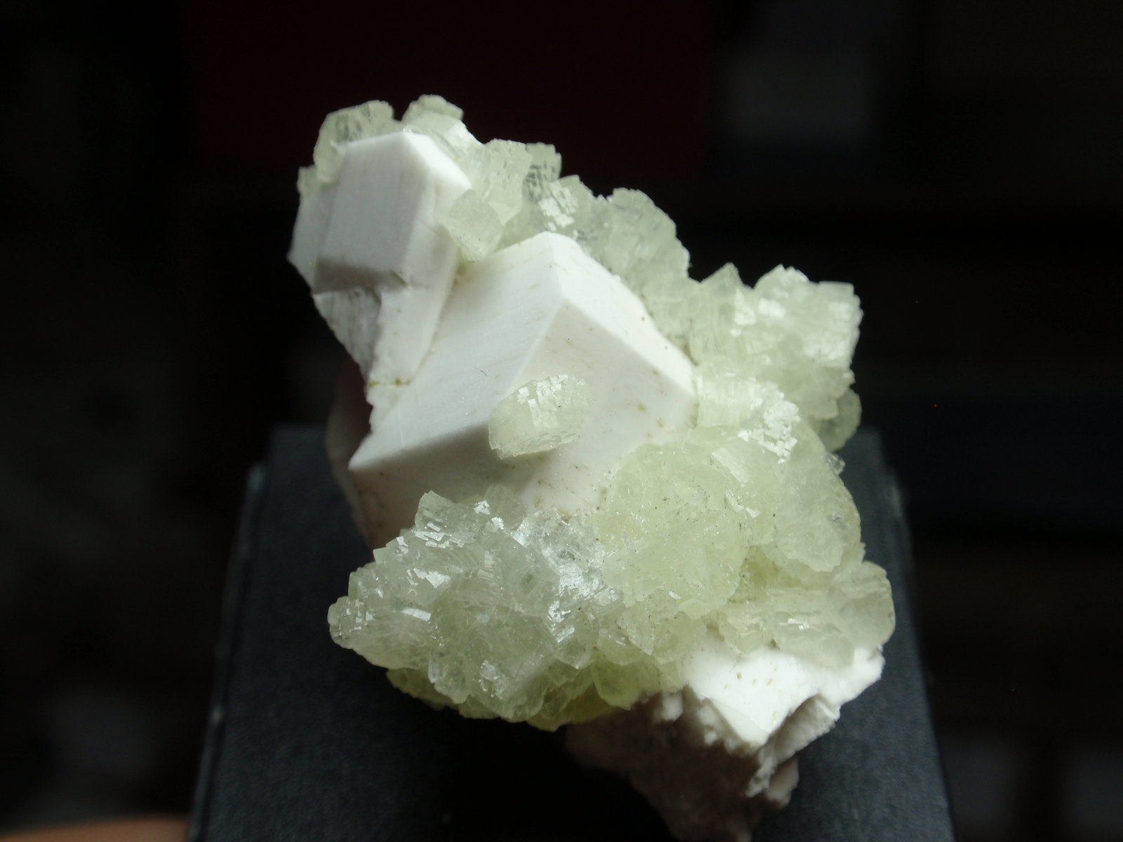 Prehnita
25x30 mm
(Autor: Ignacio)
