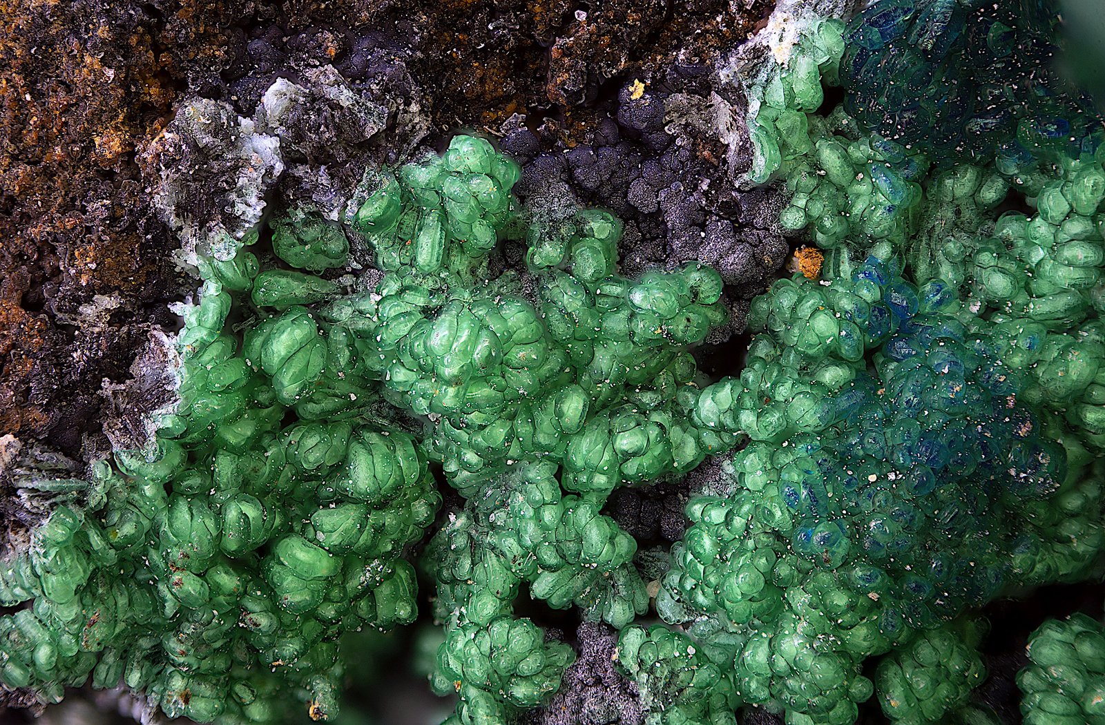 Conicalcita, Cornwallita y azurita
Campo de visión de  3 mm.
(Autor: Antonio Carmona)