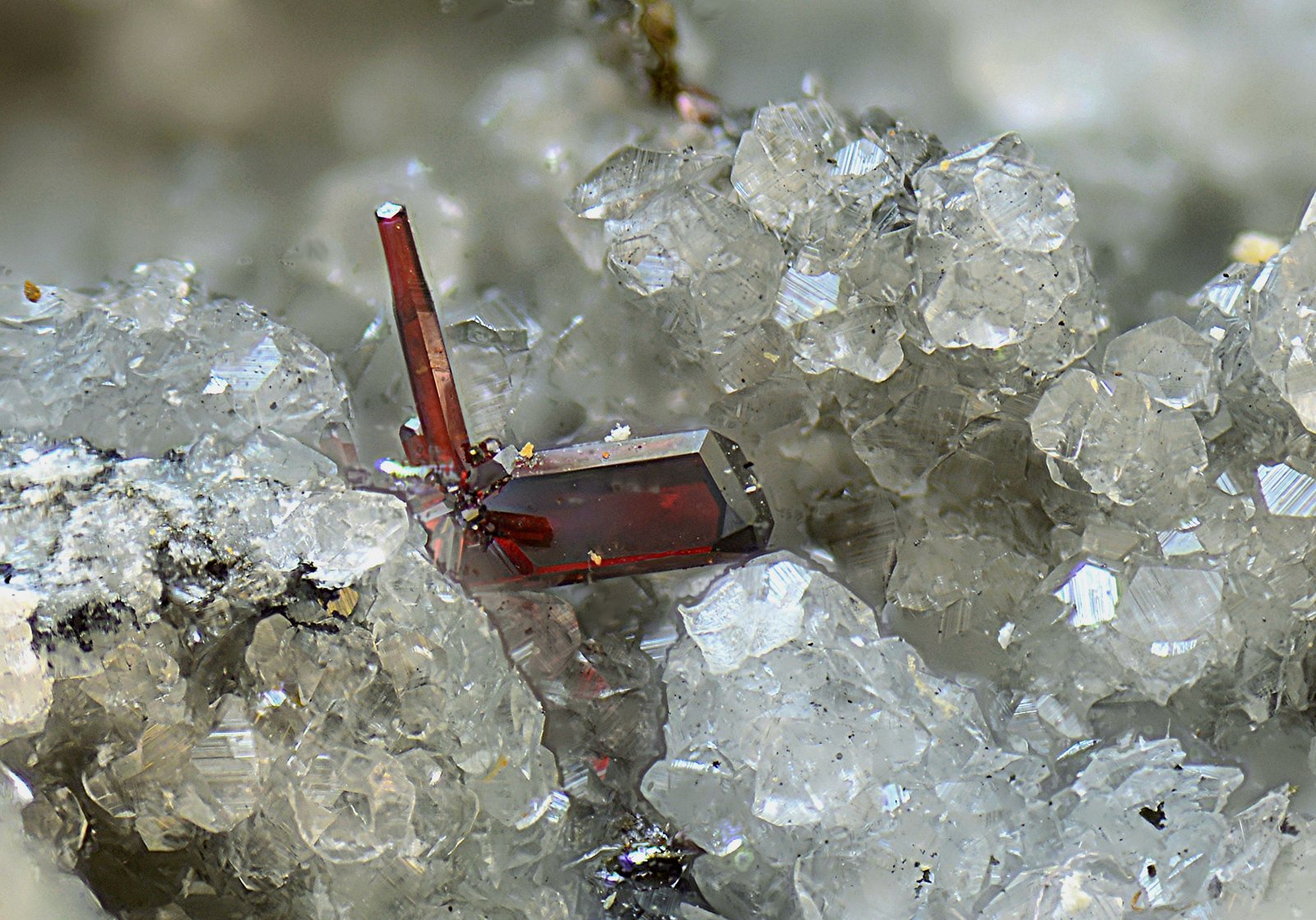 Proustita
Campo de visión de 3 mm.
(Autor: Antonio Carmona)